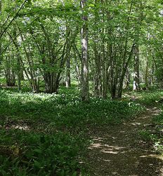 My God how beautiful nature is ! 