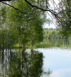 My God how beautiful nature is ! 