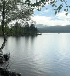 My God how beautiful nature is ! 