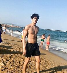 Twink Shirtless Summer Beach Guys Gay Boys Tube 