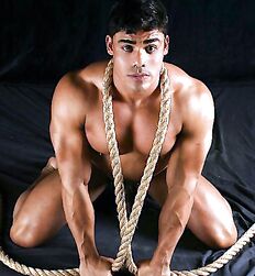 Muscles, Muscles ! 
