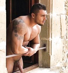 Muscles, Muscles ! 