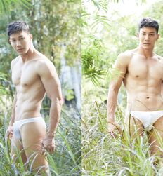 Frères Asiatiques Beach Porn Tube Nude Tube 