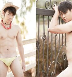 Frères Asiatiques Beach Porn Tube Nude Tube 