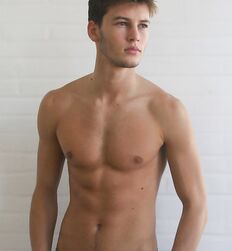 ALFRED KOVAC - SERBIAN MODEL 
