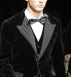 ALFRED KOVAC - SERBIAN MODEL 