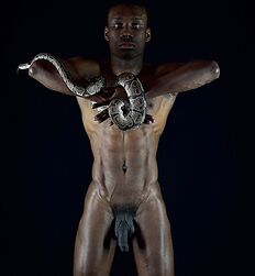 World Photographic Festival 