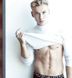 ANDREAS DINO WOHLTAN - AUSTRIAN MODEL GAYTUBE 