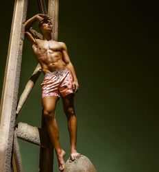 ANDREAS DINO WOHLTAN - AUSTRIAN MODEL GAYTUBE 