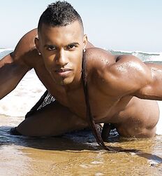 Jock Gay Porn Sensualities 