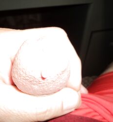 Sucking Buddies Gay Porn Twinks Action 