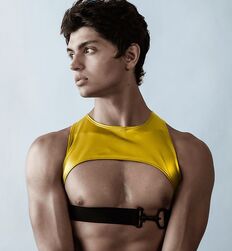 CHRIS COLVIN - GAYTUBE AMERICAN MODEL 