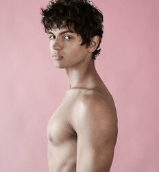 CHRIS COLVIN - GAYTUBE AMERICAN MODEL 