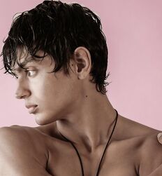 CHRIS COLVIN - GAYTUBE AMERICAN MODEL 