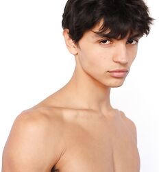 CHRIS COLVIN - GAYTUBE AMERICAN MODEL 
