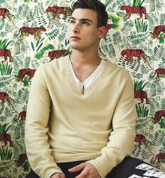 JUSTIN PETZSCHKE - GERMAN MODEL GAYTUBE 