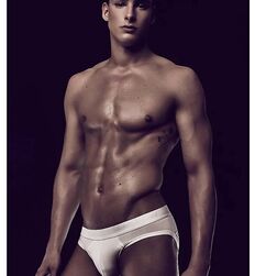 JUSTIN PETZSCHKE - GERMAN MODEL GAYTUBE 