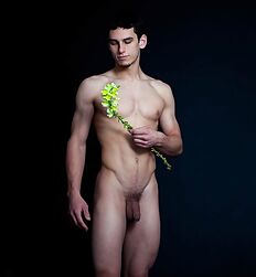 Have You an artist Soul Twink Tube New 