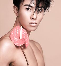 Have You an artist Soul Twink Tube New 