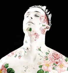 Have You an artist Soul Twink Tube New 