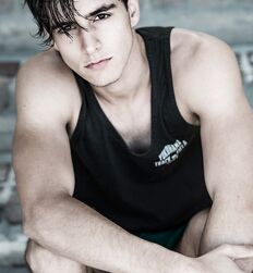 LUCA BOLT GAYTUBE 