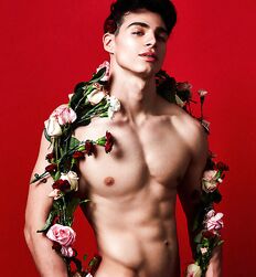 All the beauty in the world Best Gay Porn 