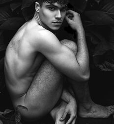 All the beauty in the world Best Gay Porn 