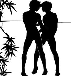 Gay Porn Tube Popular Ethnology Museum 