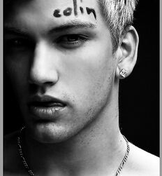 COLIN BRAZEAU - AMERICAN MODEL 