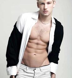 COLIN BRAZEAU - AMERICAN MODEL 