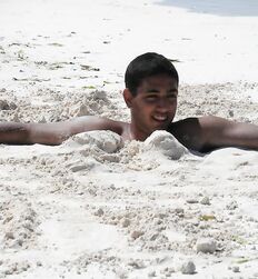 Summer Beach Guys Gay Boys Porn Twink Tube 