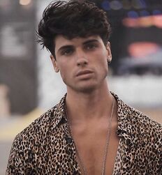 DANIEL ILLESCAS - SPANISH MODEL 