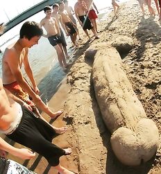 Beach Gay Boys Tube 