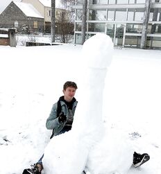 Sexy Snowman Winter Twink Tube Fun 