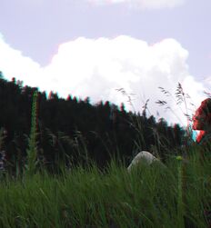 Jamie Knight and gay porn Twinks in Advanced 3d Anaglyph 