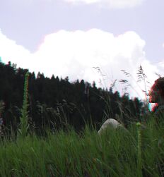 Jamie Knight and gay porn Twinks in Advanced 3d Anaglyph 