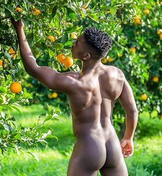 No, You're not Dreaming Twinks Gay Porn 