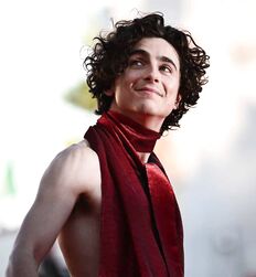 Manu and Timothée : Subversion of Masculinity codes