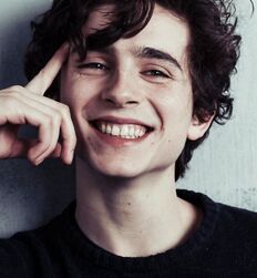 Manu and Timothée : Subversion of Masculinity codes 