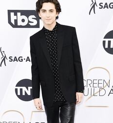 Manu and Timothée : Subversion of Masculinity codes 
