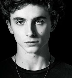 Manu and Timothée : Subversion of Masculinity codes 