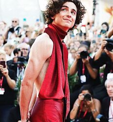Manu and Timothée : Subversion of Masculinity codes 