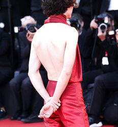 Manu and Timothée : Subversion of Masculinity codes 