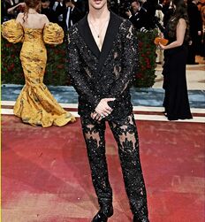 Manu and Timothée : Subversion of Masculinity codes 