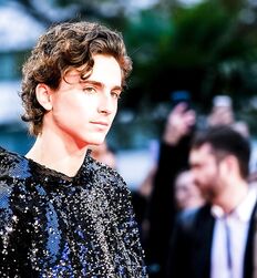 Manu and Timothée : Subversion of Masculinity codes 