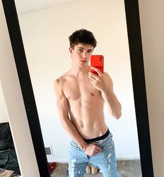 EDWARD JAMES BAYER - AUSTRIAN MODEL 