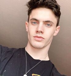 EDWARD JAMES BAYER - AUSTRIAN MODEL 
