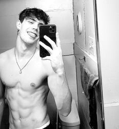 EDWARD JAMES BAYER - AUSTRIAN MODEL 