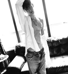 EDWARD JAMES BAYER - AUSTRIAN MODEL 