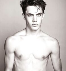 EDWARD JAMES BAYER - AUSTRIAN MODEL 